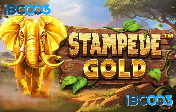 Stampede Gold